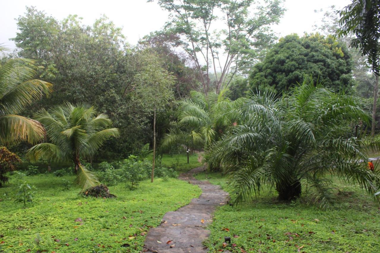 Cordillera Escalera Lodge Tarapoto Dış mekan fotoğraf